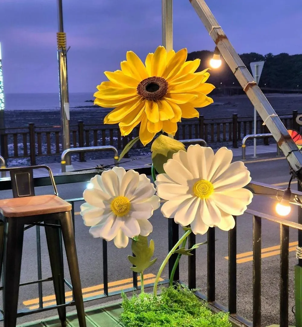 ゲストハウス Yeongheungdo Haevichi Pension インチョン広域市