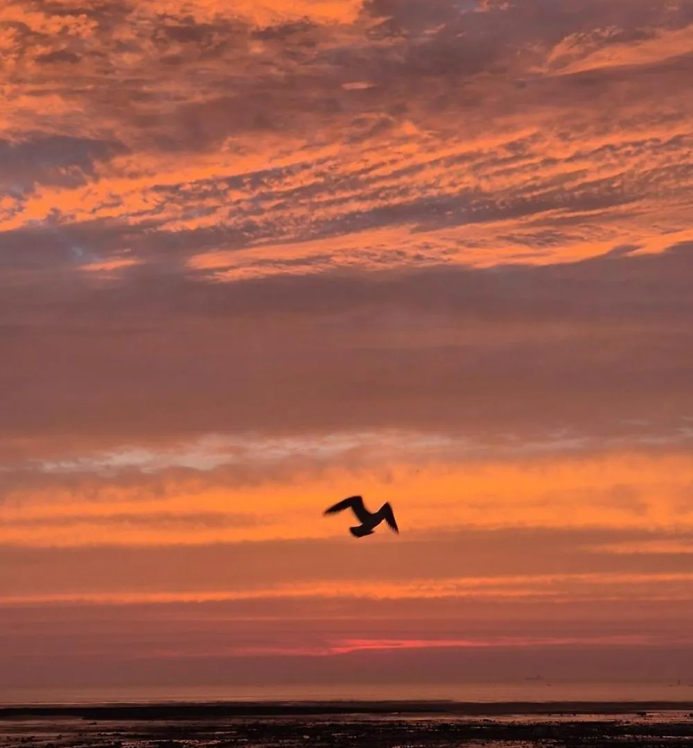 Yeongheungdo Haevichi Pension Incheon Guest house