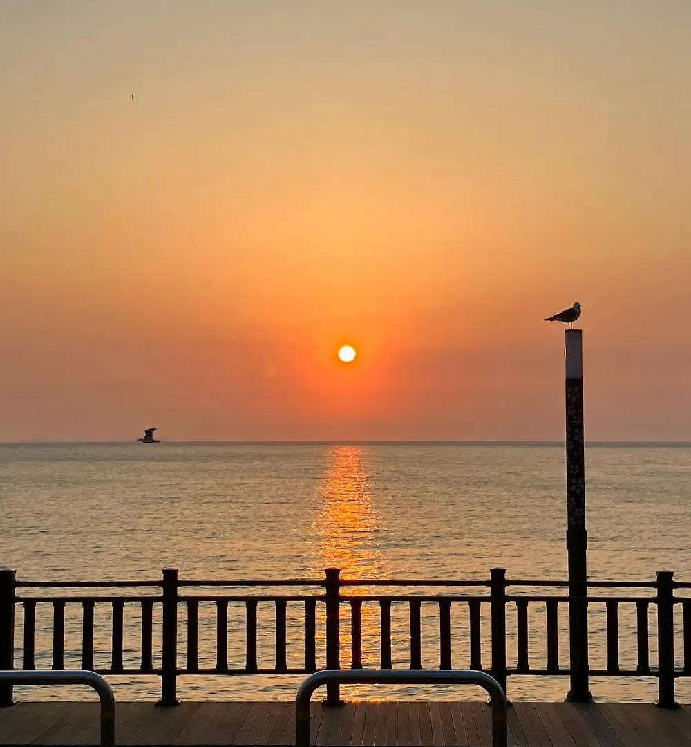 ゲストハウス Yeongheungdo Haevichi Pension インチョン広域市